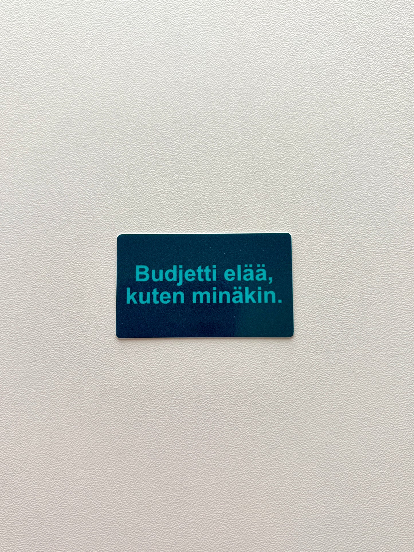 Vinyylitarra Budjetti elää, kuten minäkin
