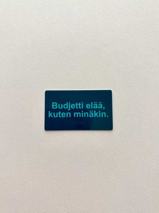Vinyylitarra Budjetti elää, kuten minäkin